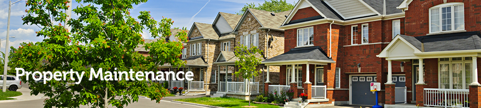 Property Maintenance